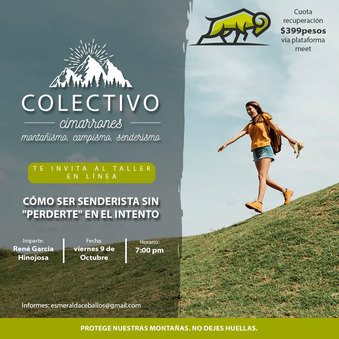 Portafolio-Redes-Sociales-Diseno-Web11.webp